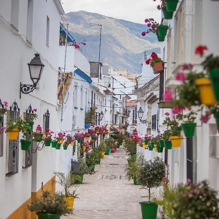 Alma エステポナ